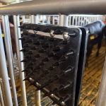 NopLine Rubber Noppenplaat - Vitaal Kalf