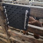 NopLine Rubber Noppenplaat - Vitaal Kalf